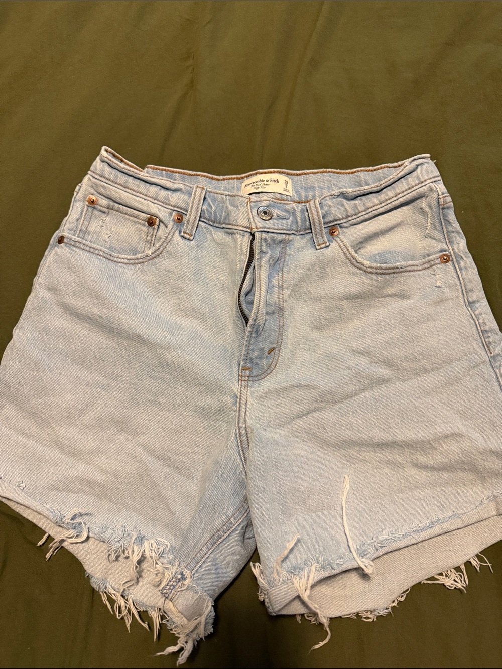 Abercrombie and Fitch Light Wash Denim Cutoff Shorts - Women
